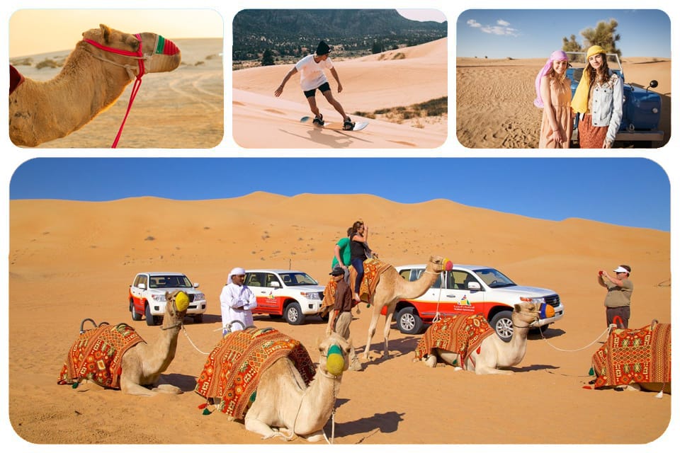 Desert Dunes Tourism safari experience