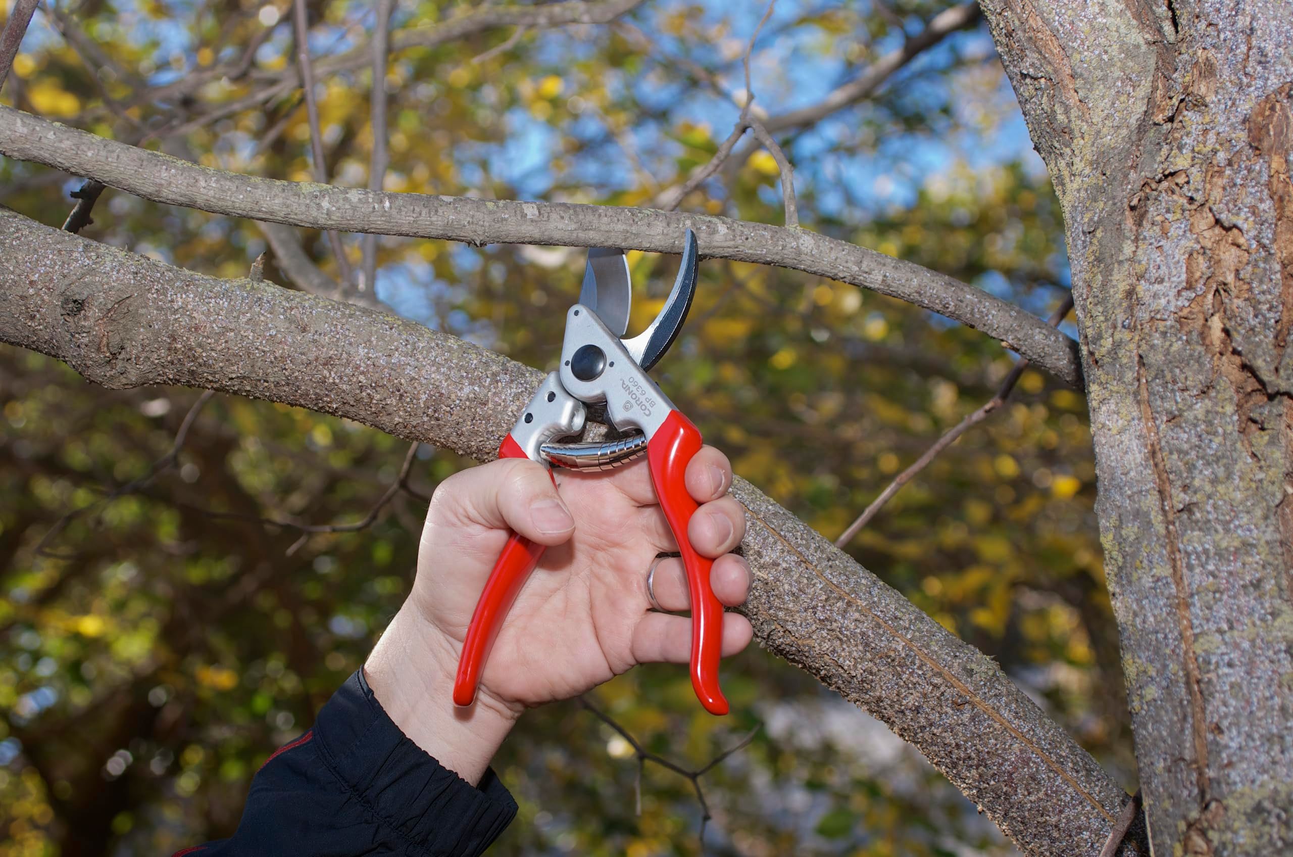 Corona pruning shears cutting through woody branch