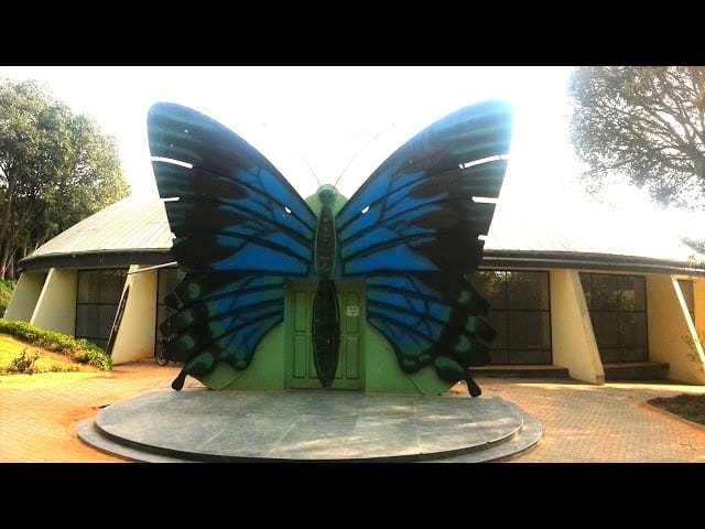 img11