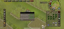 OSRS Catherby herb farming