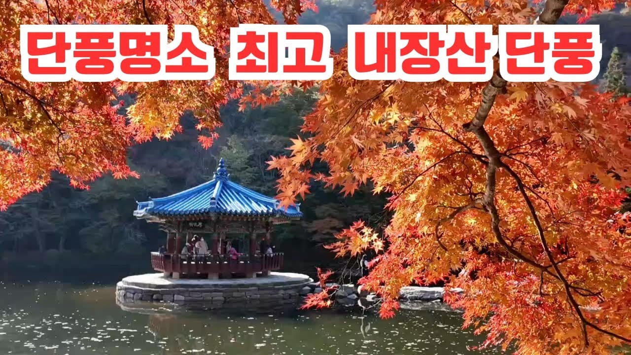 내장산 단풍터널