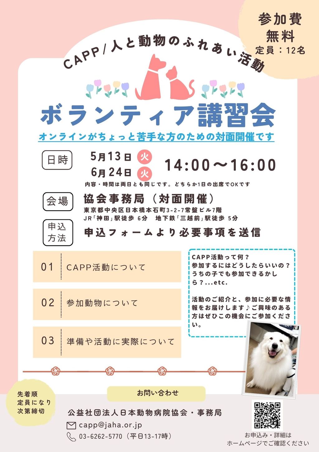 JAHA国際セミナー　第133回　臨床薬理学　DVD　動物病院　動物医療 JAHA国際セミナー 第133回 臨床薬理学 DVD 動物病院 動物医療 その他