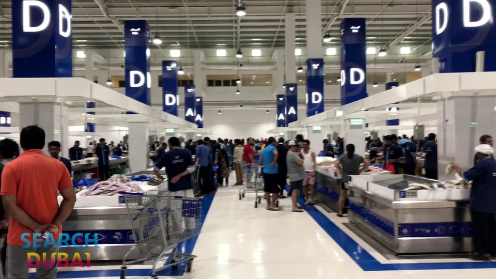 img10