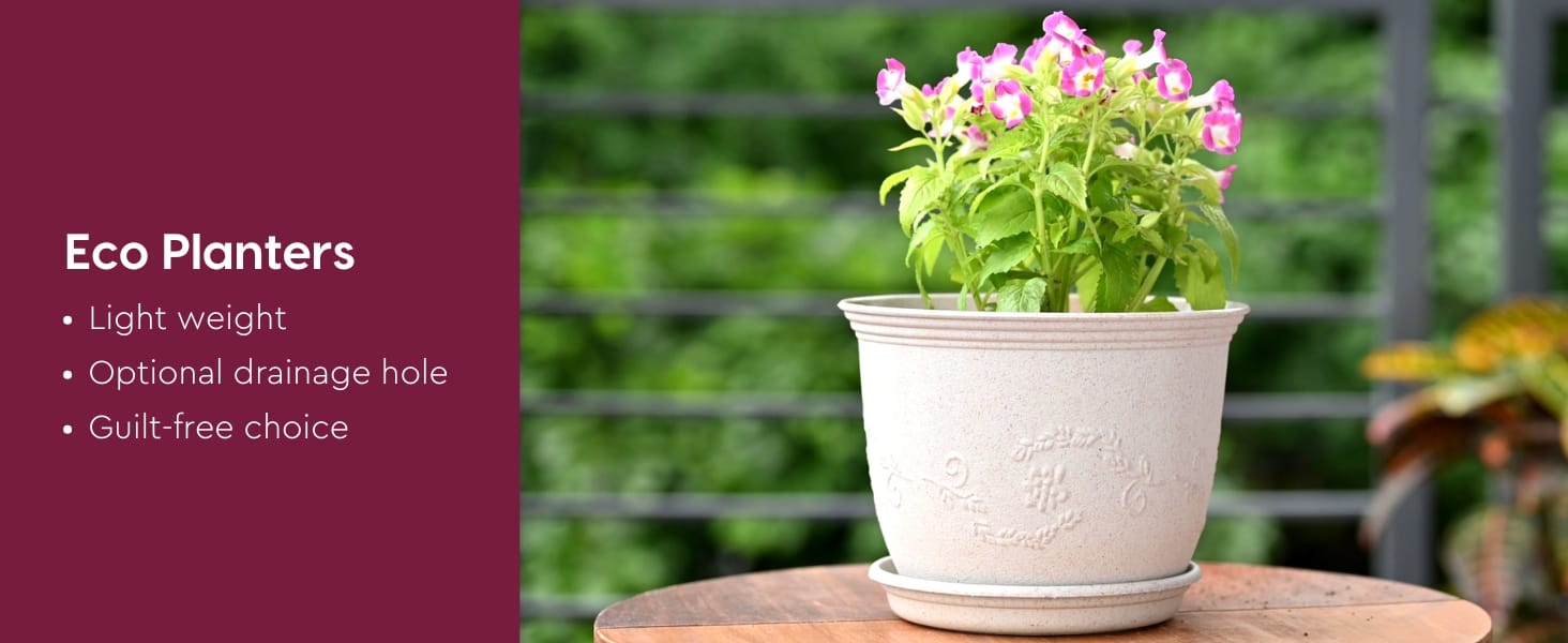 Leafy Veranda Planter 8 inch