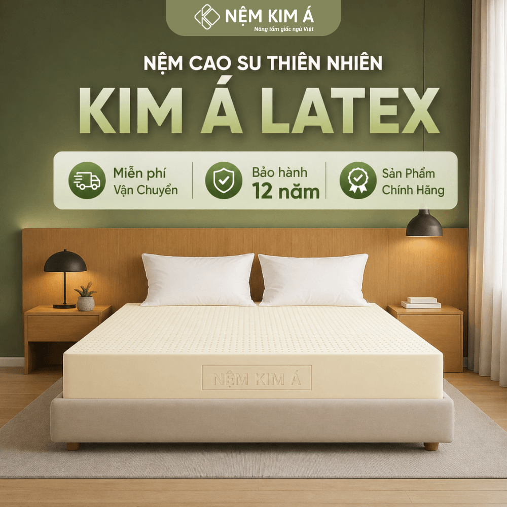 Showroom Đệm Việt tại Hà Nội