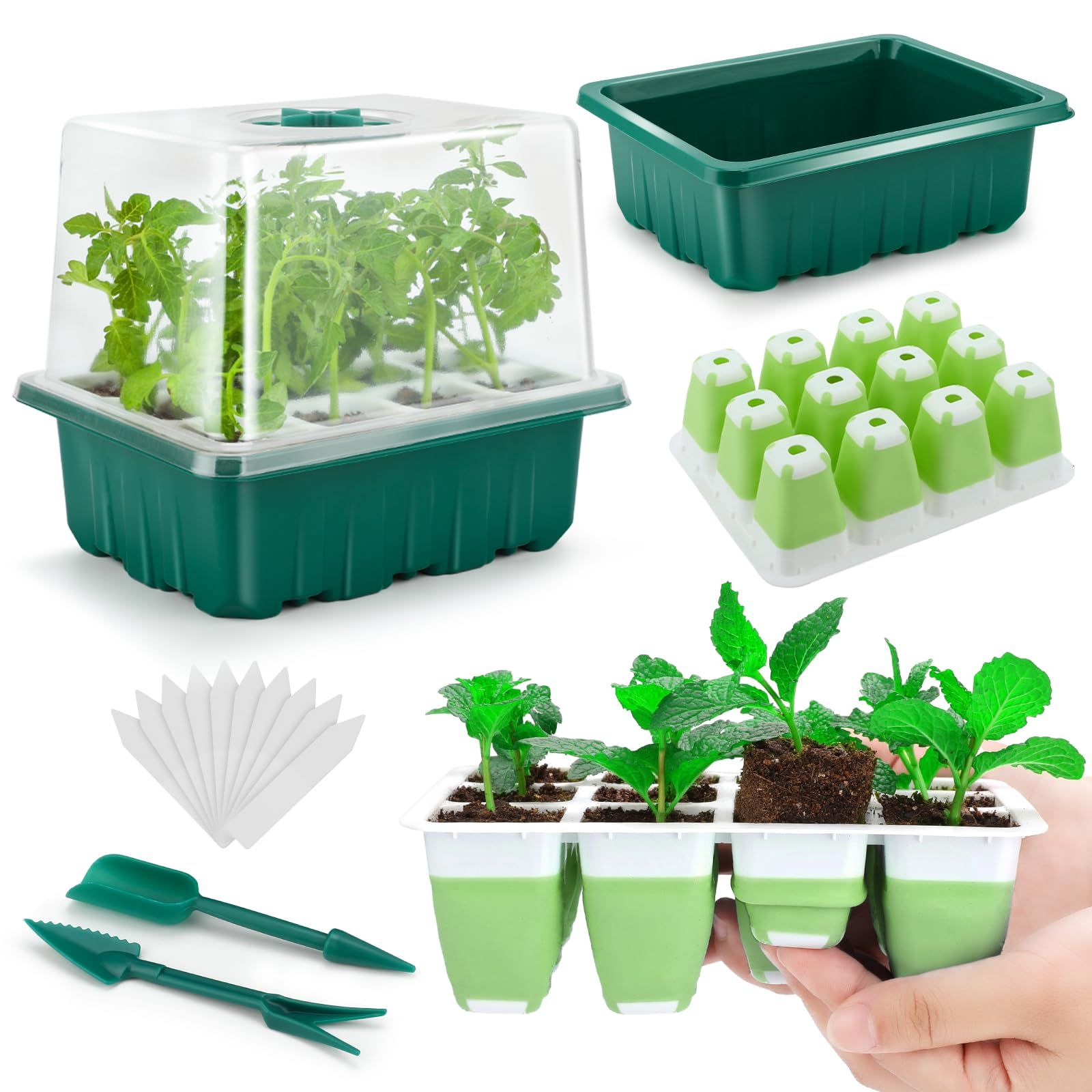 Seed starting tray with clear dome cover and multiple cells filled with seed-starting mix
