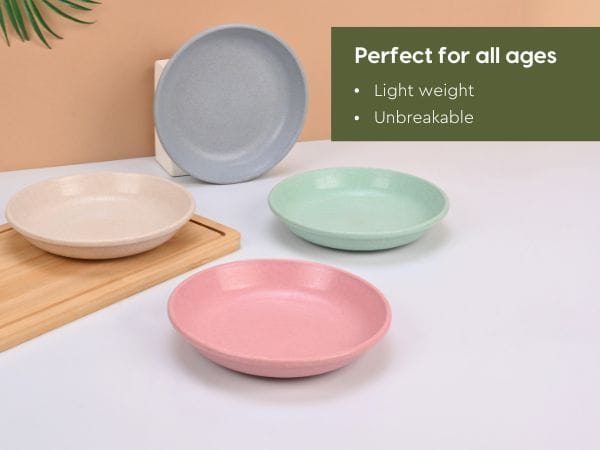Snack Plate Set 6 inch