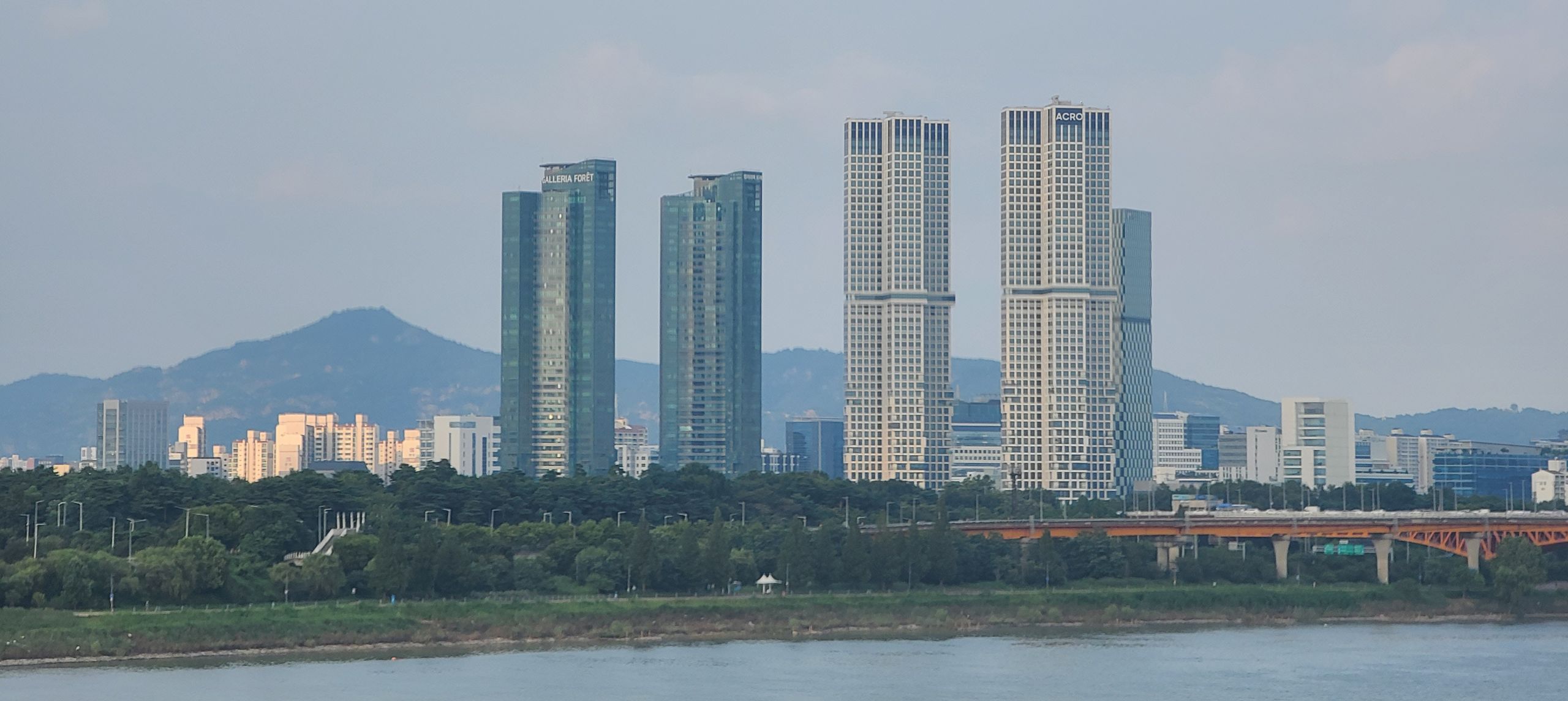 ソウルの森公園の緑豊かな風景