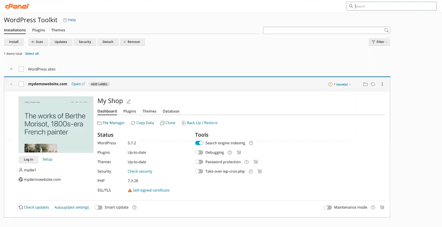 WHMCS Client Area WP Toolkit interface