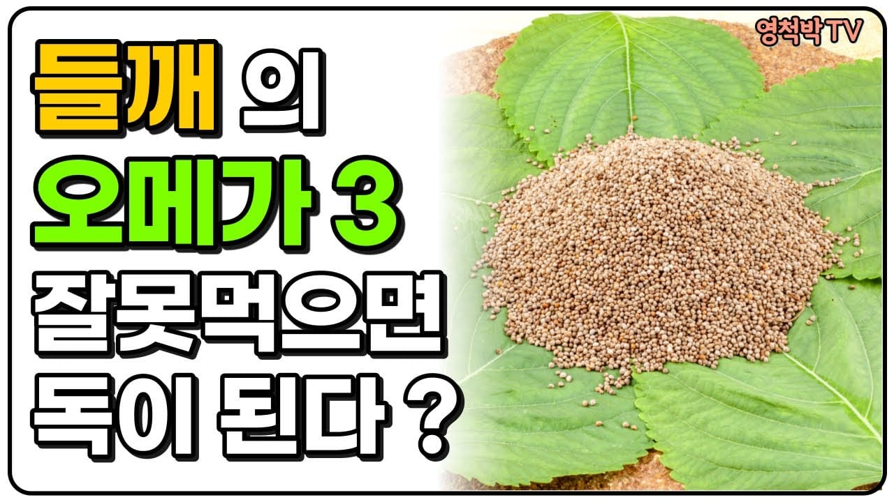 들기름 뇌세포 활성화,들기름 오메가3 뇌세포 보호 효능