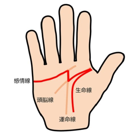 M字手相の確率について