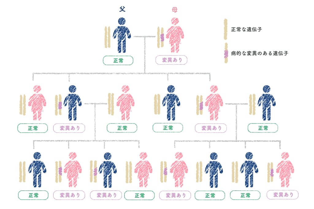 Program Obliczający Pole Prostokąta C++ C4-2B細胞株におけるBRCA2変異 - Genspark