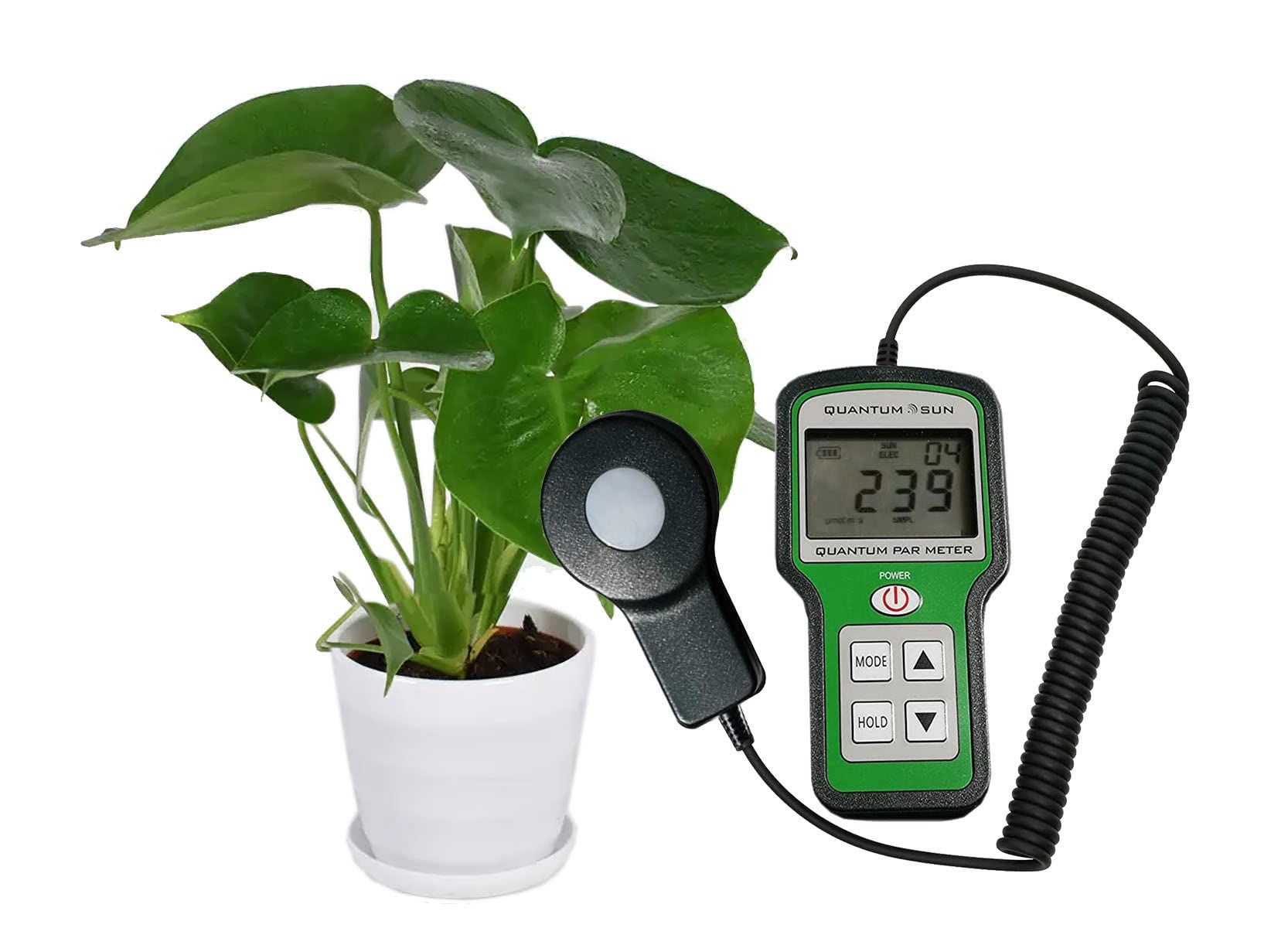 Quantum PAR meter measuring photosynthetically active radiation for optimal grow light management