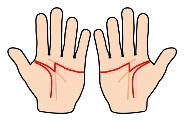 右手と左手の手相の違い
