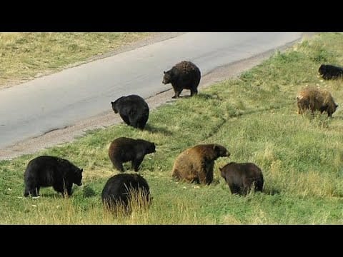 img9