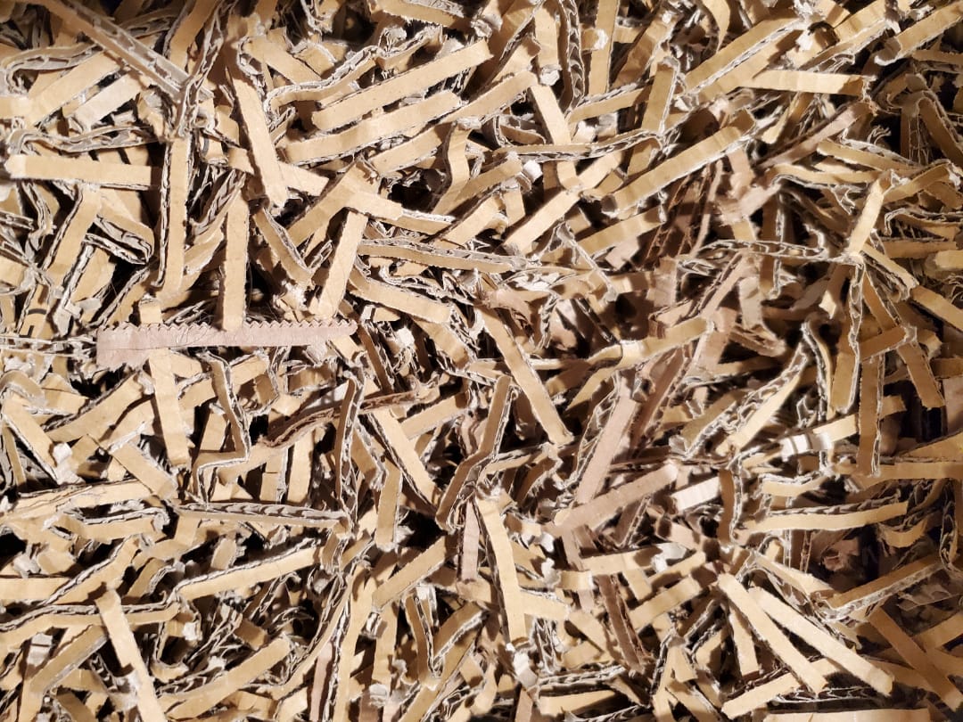 Shredded cardboard pieces ready for composting