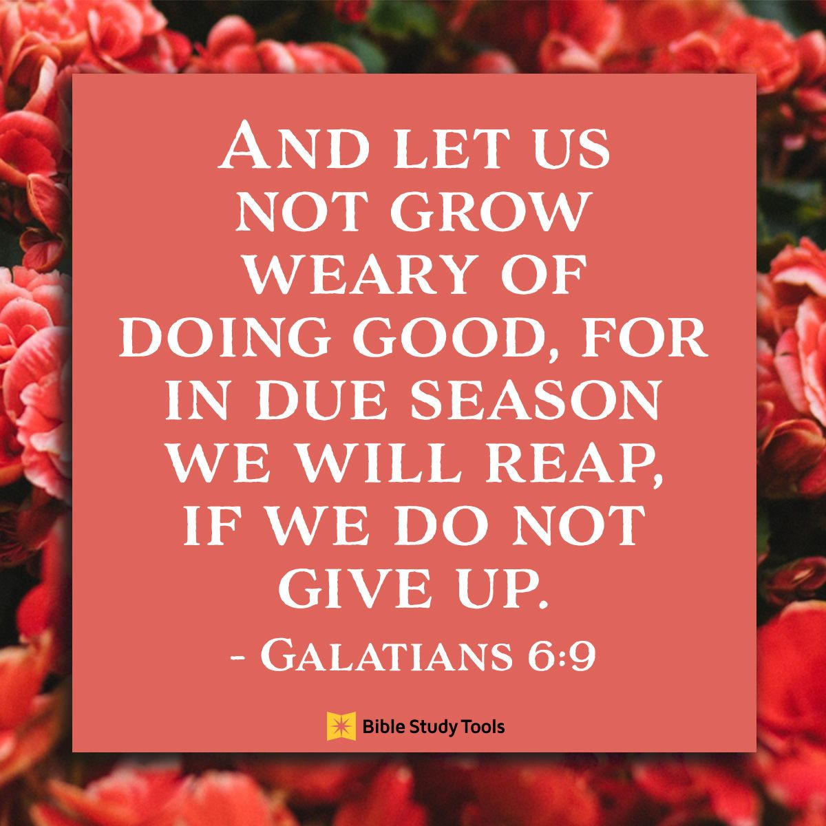 Galatians 6:9 Let us not grow weary Bible verse inspiring perseverance and consistency in faith and work
