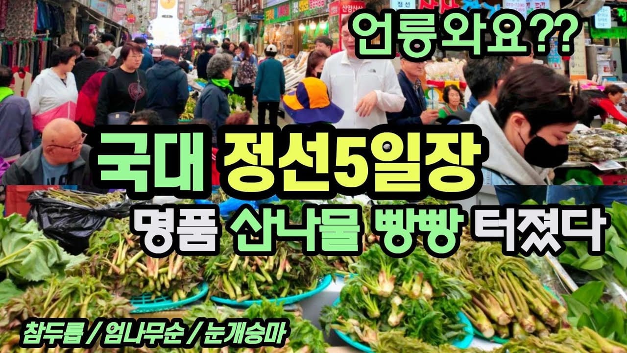 두릅 정선5일장