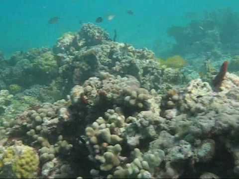 img7