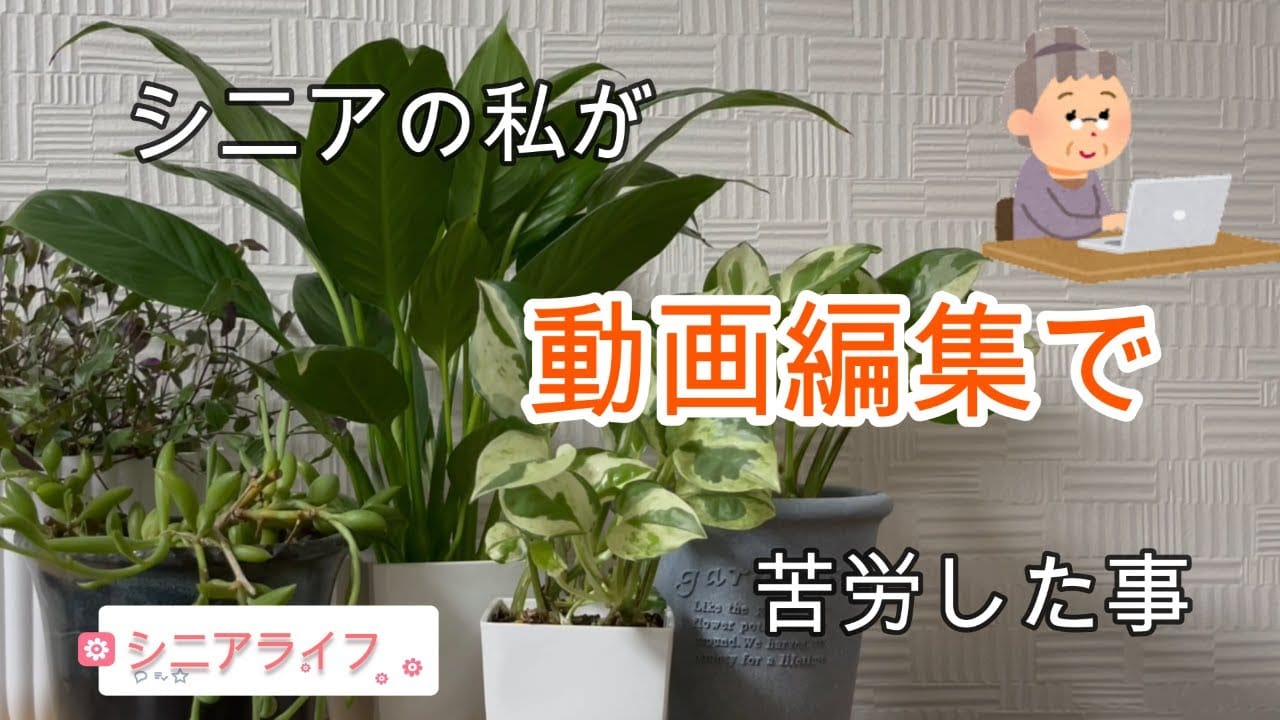 シニアが動画編集に挑戦している様子