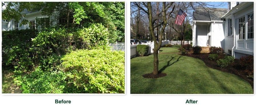 Before and after lawn transformation