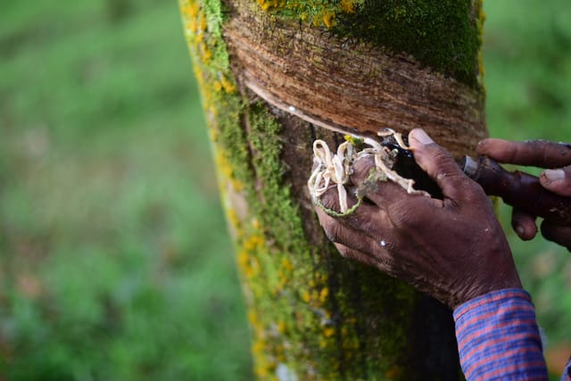 Natural latex antibacterial properties