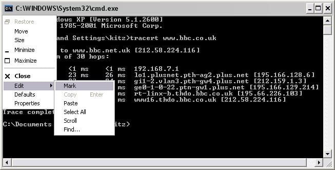 How to Save Continuous Ping Results to a Text File - Genspark
