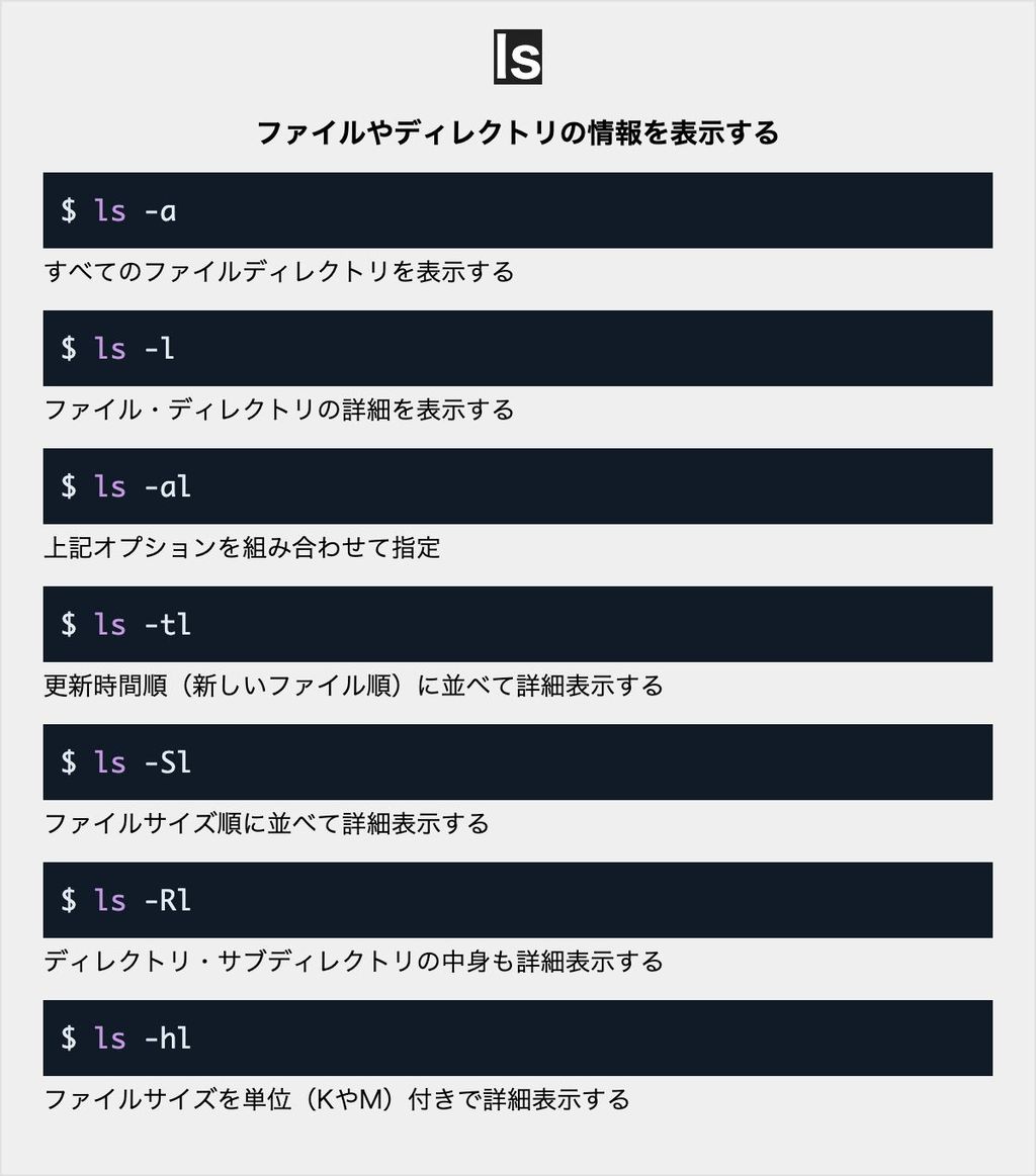 コマンドオプションの順序とその仕組み - Genspark