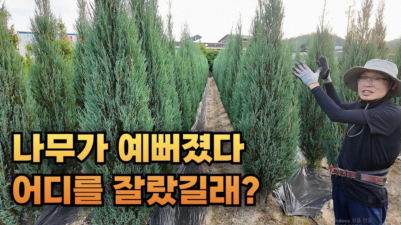 조경 관리 노하우