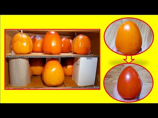 대봉감 보관 꿀팁