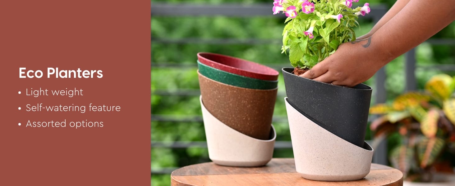 EcoBloom Detachable Planter 4 inch