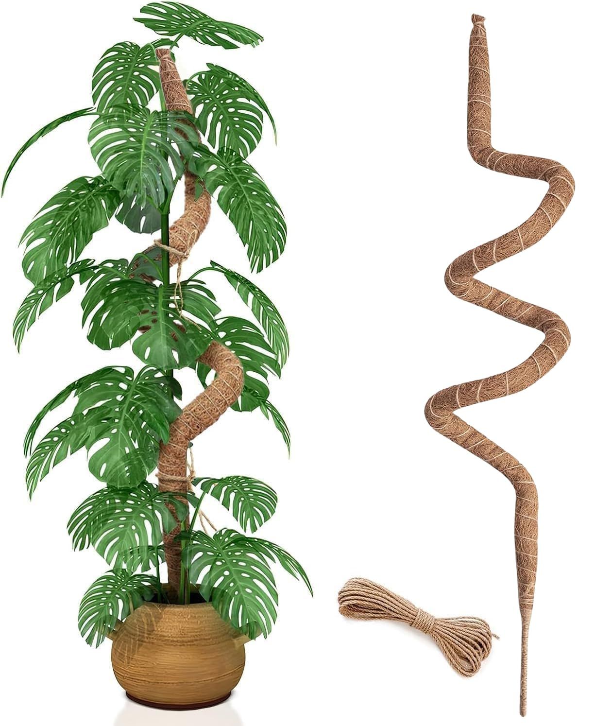 Moss pole with climbing support for indoor plants