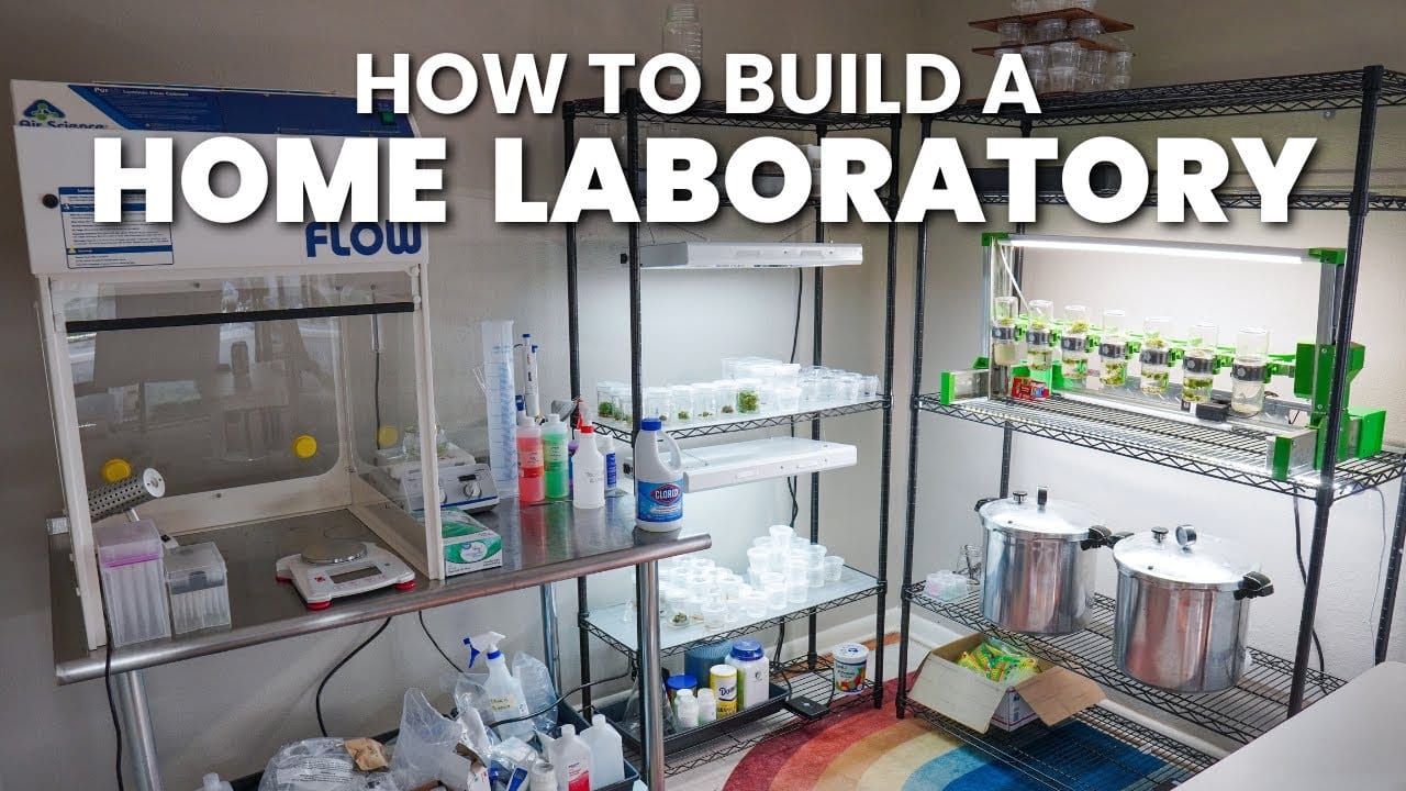 Home tissue culture laboratory setup with laminar flow hood and organized equipment