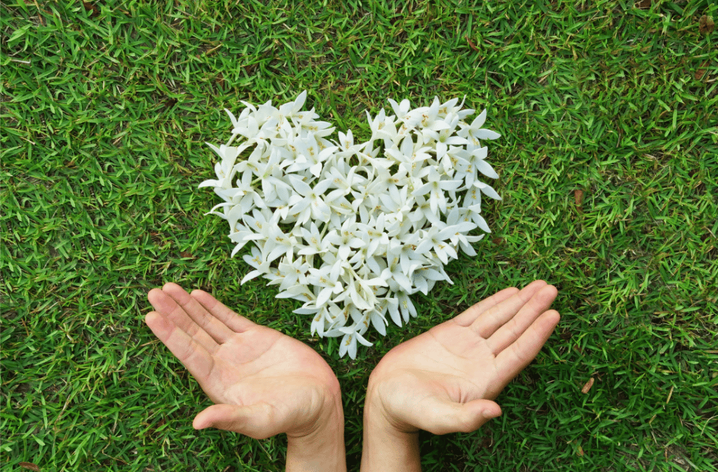 自然素材・食品添加物不使用