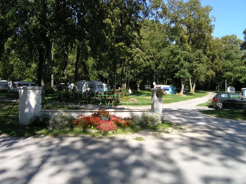 img15